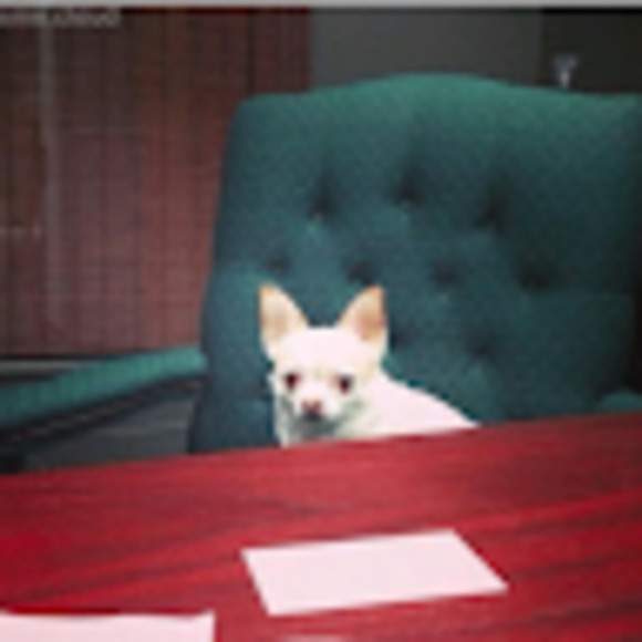 Meet your Posher, Danielle kabongo23 - Picture 1 of 1